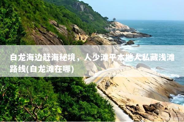 白龙海边赶海秘境，人少滩平本地人私藏浅滩路线(白龙滩在哪)