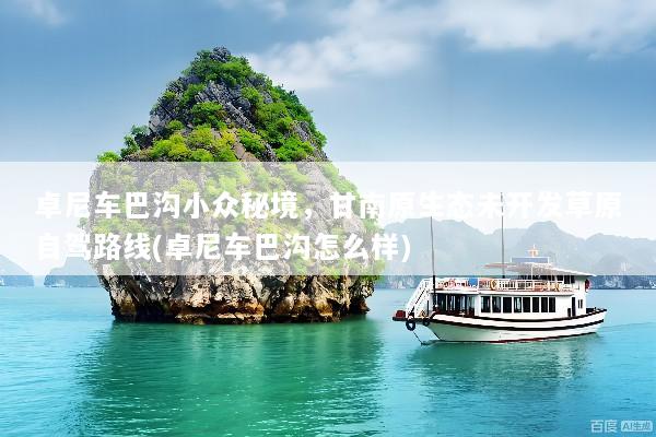 卓尼车巴沟小众秘境，甘南原生态未开发草原自驾路线(卓尼车巴沟怎么样)