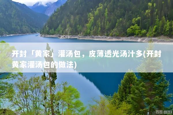 开封「黄家」灌汤包，皮薄透光汤汁多(开封黄家灌汤包的做法)