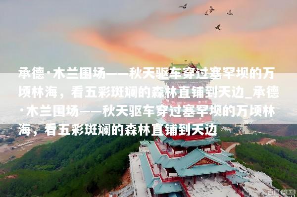 承德·木兰围场——秋天驱车穿过塞罕坝的万顷林海，看五彩斑斓的森林直铺到天边_承德·木兰围场——秋天驱车穿过塞罕坝的万顷林海，看五彩斑斓的森林直铺到天边