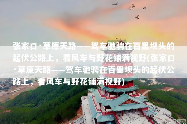 张家口·草原天路——驾车驰骋在百里坝头的起伏公路上，看风车与野花铺满视野(张家口·草原天路——驾车驰骋在百里坝头的起伏公路上，看风车与野花铺满视野)