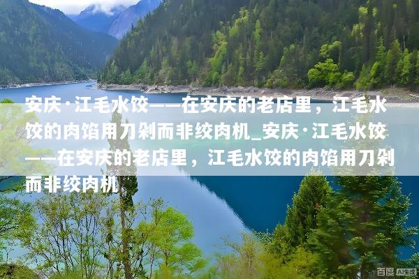 安庆·江毛水饺——在安庆的老店里，江毛水饺的肉馅用刀剁而非绞肉机_安庆·江毛水饺——在安庆的老店里，江毛水饺的肉馅用刀剁而非绞肉机