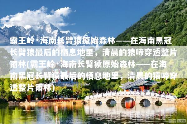 文章配图