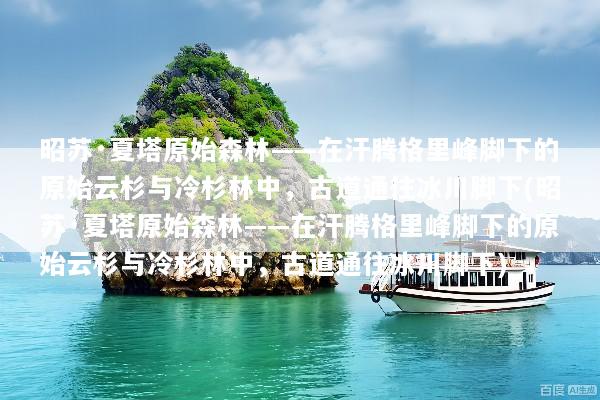 昭苏·夏塔原始森林——在汗腾格里峰脚下的原始云杉与冷杉林中，古道通往冰川脚下(昭苏·夏塔原始森林——在汗腾格里峰脚下的原始云杉与冷杉林中，古道通往冰川脚下)