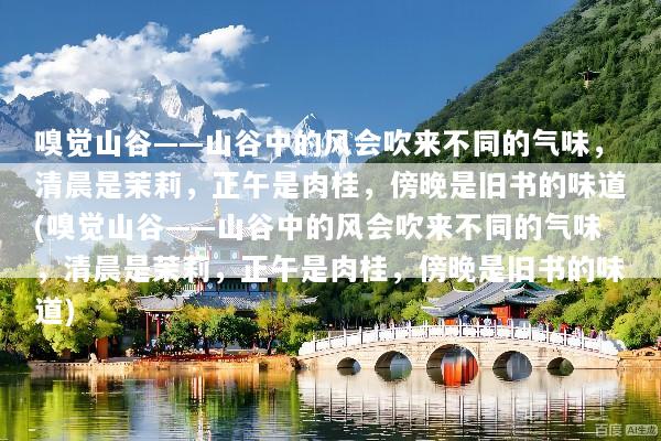 嗅觉山谷——山谷中的风会吹来不同的气味，清晨是茉莉，正午是肉桂，傍晚是旧书的味道(嗅觉山谷——山谷中的风会吹来不同的气味，清晨是茉莉，正午是肉桂，傍晚是旧书的味道)