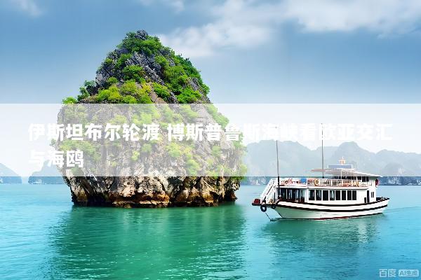 伊斯坦布尔轮渡 博斯普鲁斯海峡看欧亚交汇与海鸥