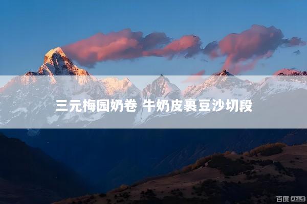 三元梅园奶卷 牛奶皮裹豆沙切段