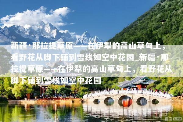 新疆·那拉提草原——在伊犁的高山草甸上，看野花从脚下铺到雪线如空中花园_新疆·那拉提草原——在伊犁的高山草甸上，看野花从脚下铺到雪线如空中花园