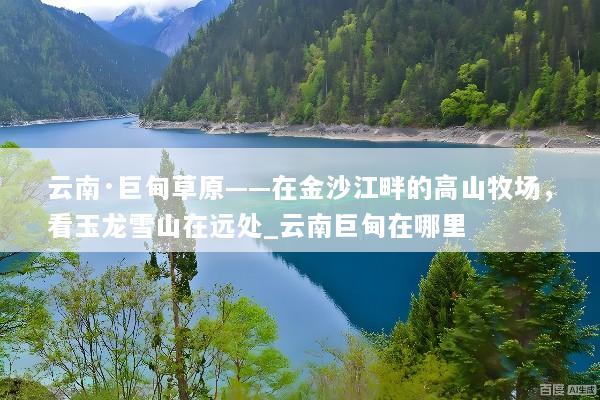 云南·巨甸草原——在金沙江畔的高山牧场，看玉龙雪山在远处_云南巨甸在哪里